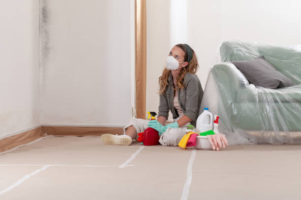Reliable Mold Remediation contractor in Fulton, IL by WQB Mold Removal
